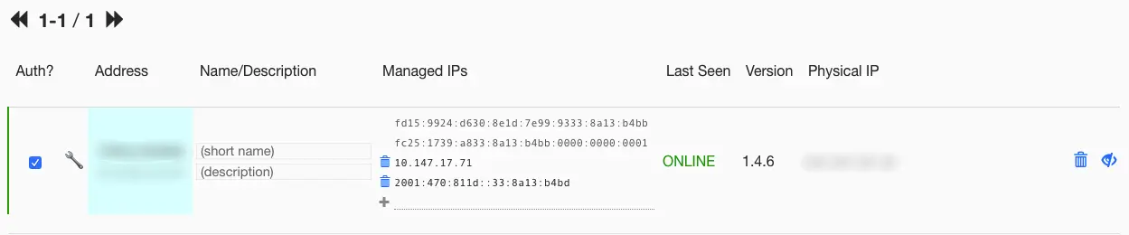 查看被分配的公网 IPv6 地址 Check public IPv6 address