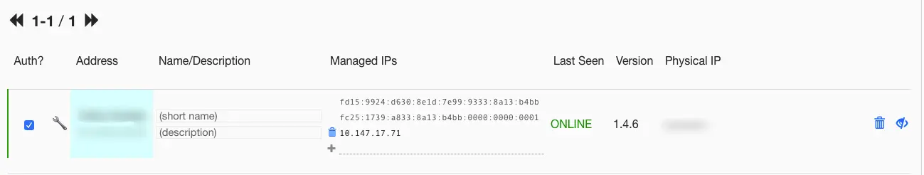 查看主机被分配内网 IPv6 地址 Check internal IPv6 address